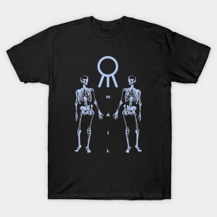 Skull hail T-Shirt